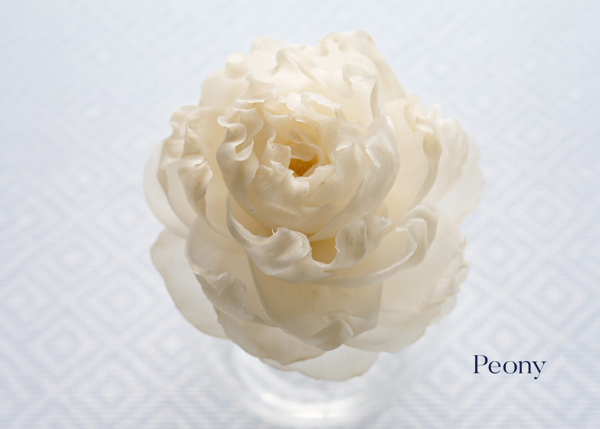 Peony.png