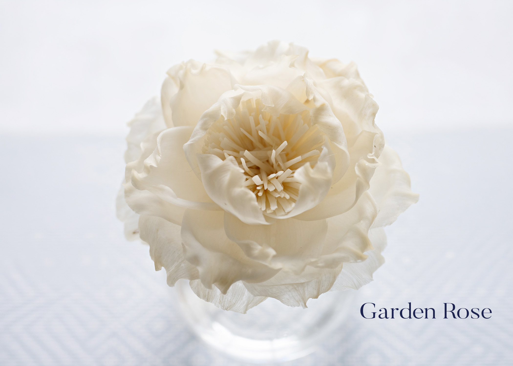 Garden Rose.png