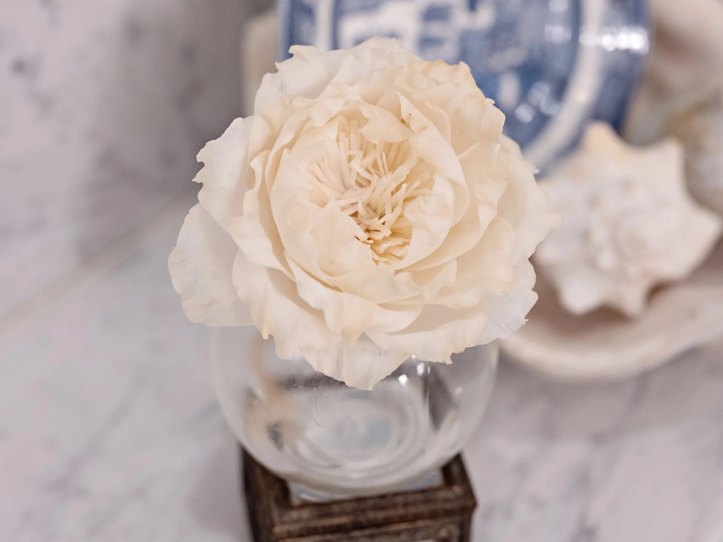 _07_08_26_BloomRoomWoodFlowers_TBM-1109.jpg