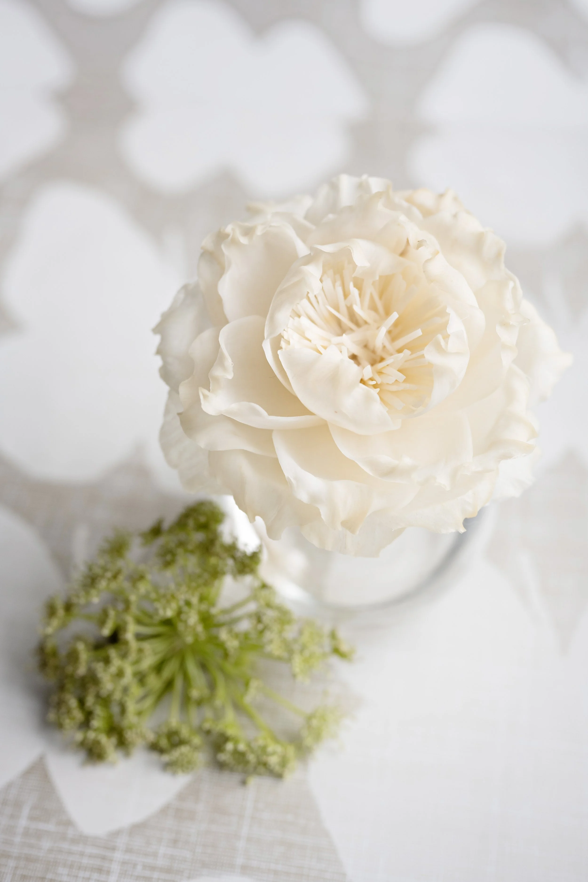Elderflower