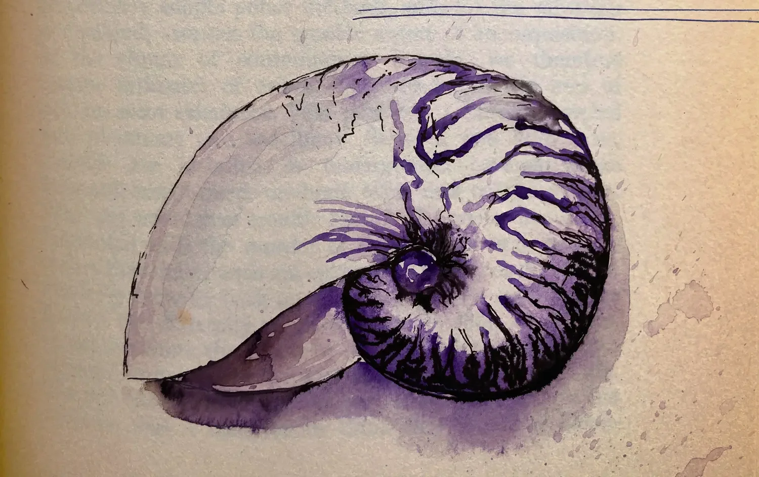 Shell_Images1_CROP_4.webp