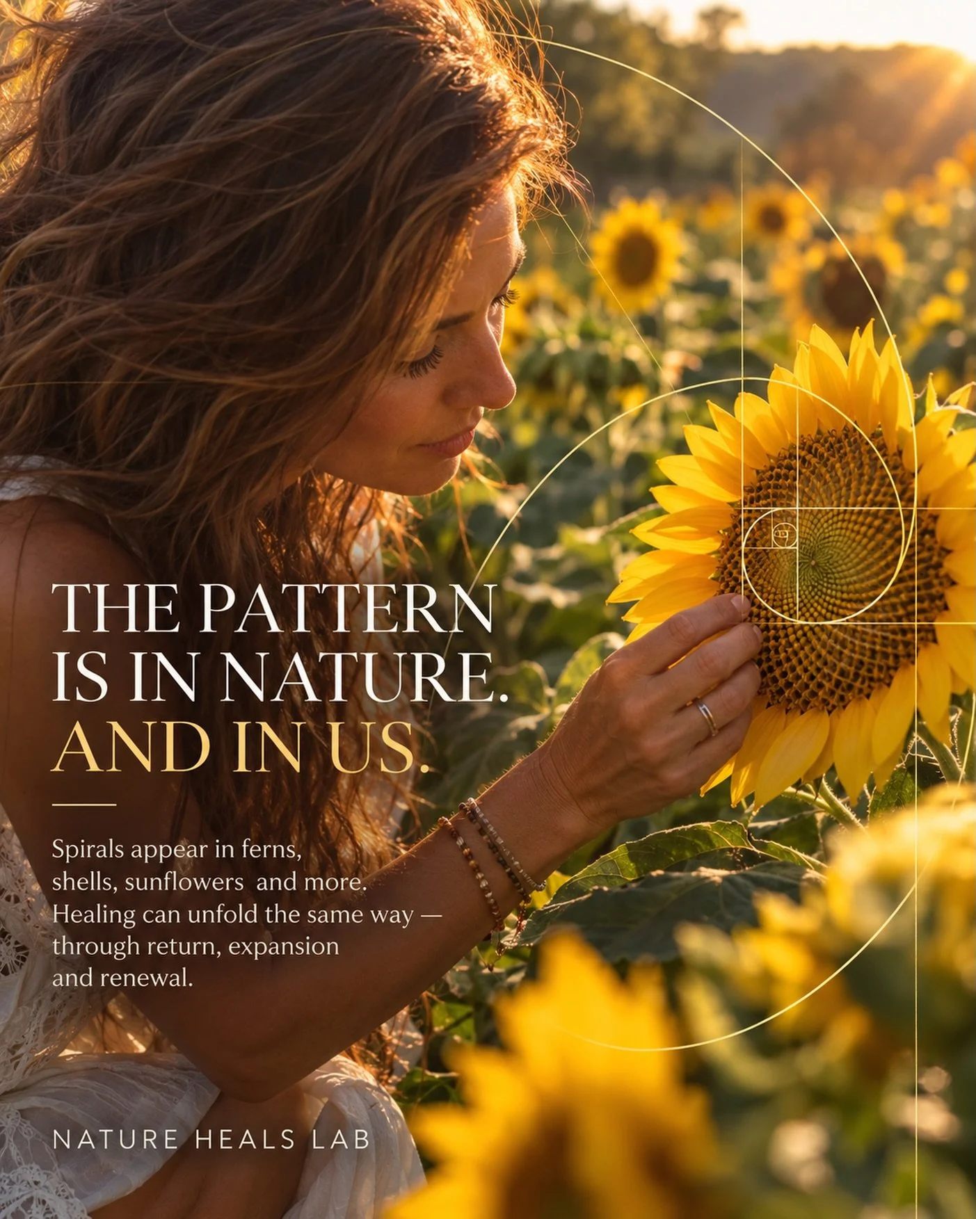 Look closely at a fern.

A sunflower.
A pinecone.
A shell.

Nature often grows through repeating patterns, and one of the most fascinating is the Fibonacci sequence&hellip;a mathematical progression that can appear in the way leaves, petals and seeds