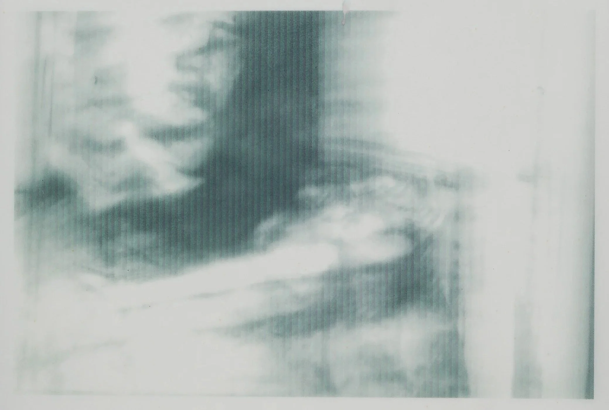 HospitalPolaroid1Main.jpg