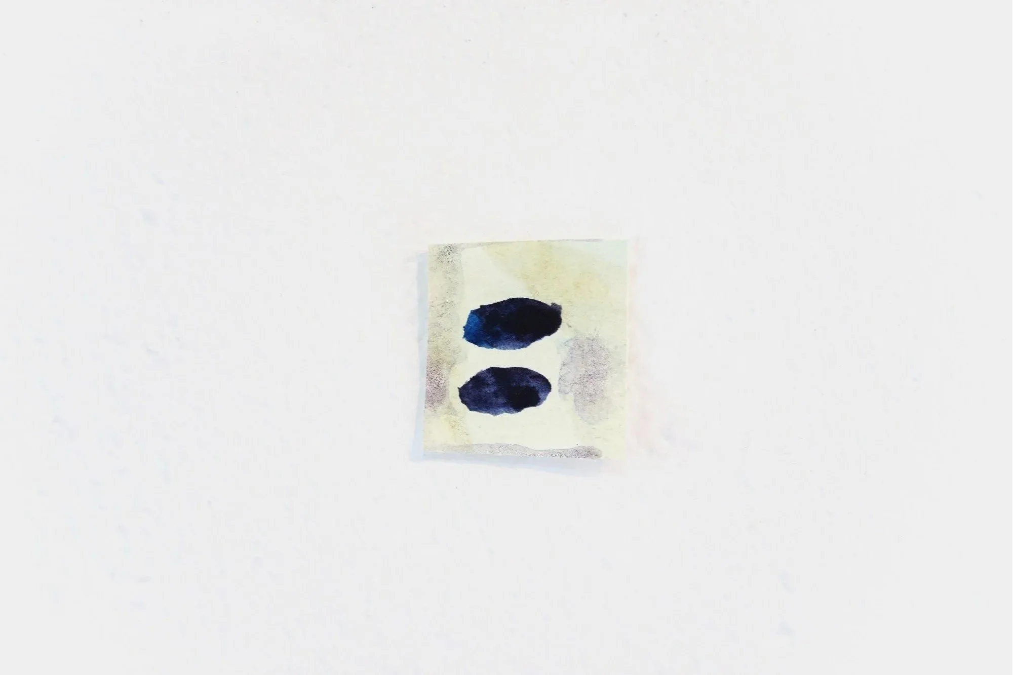 Miosis Detail 1.jpg