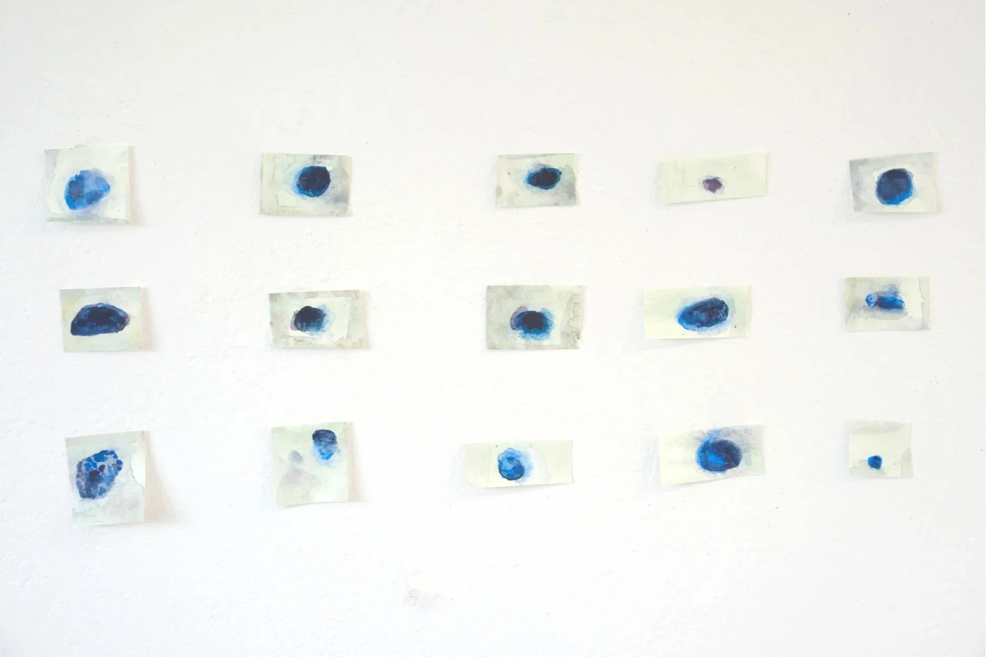Miosis Detail 2.jpg