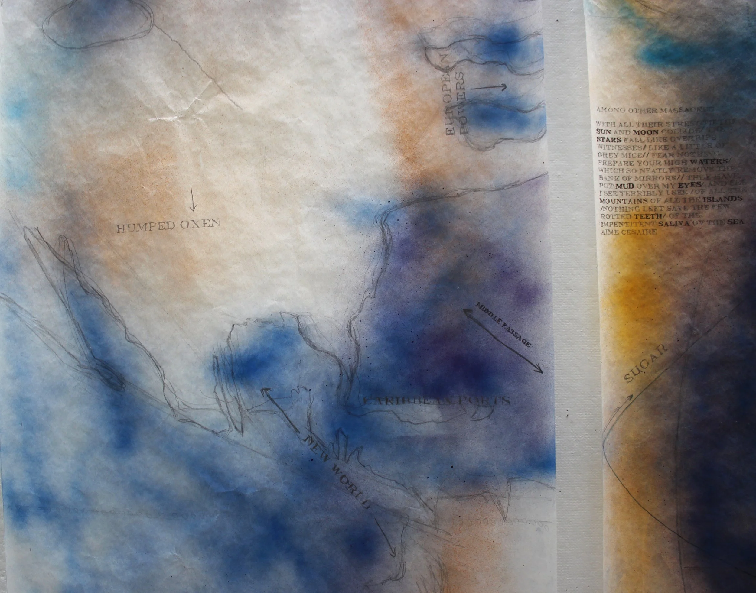 IMG_9941.jpeg