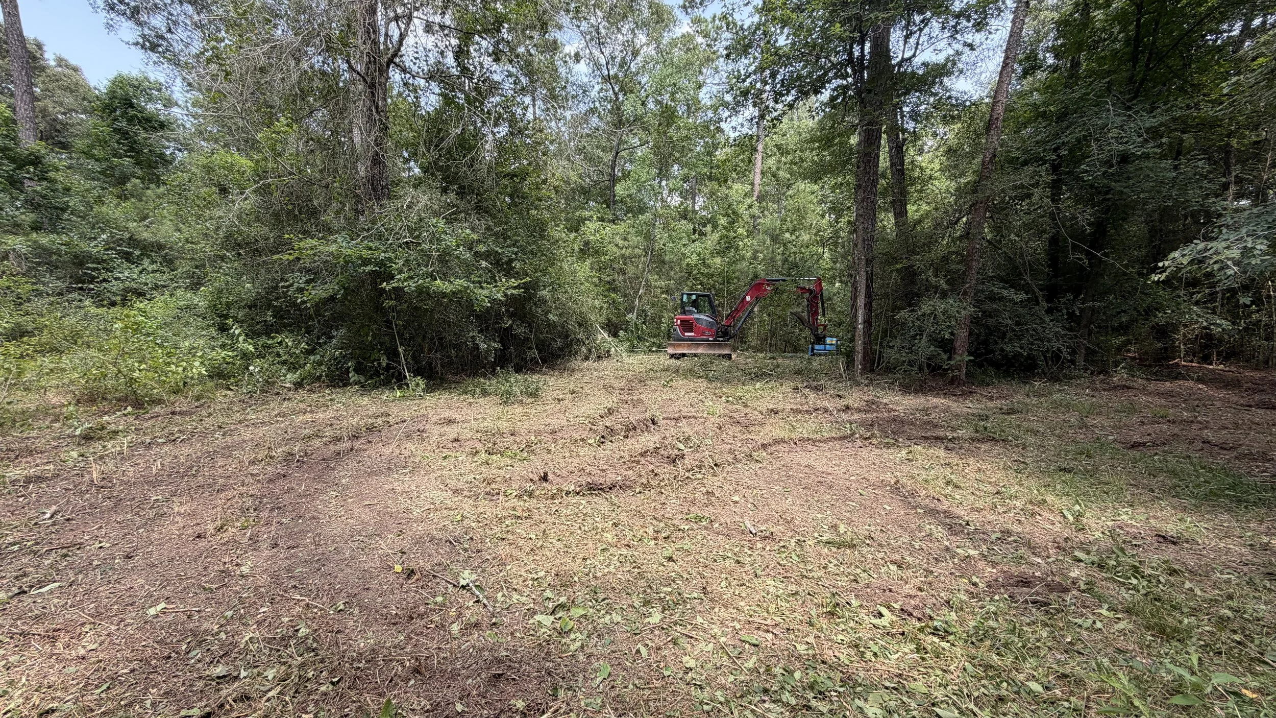 A small red and black excavator working in a wooded area with trees and bushes on a forest trail.