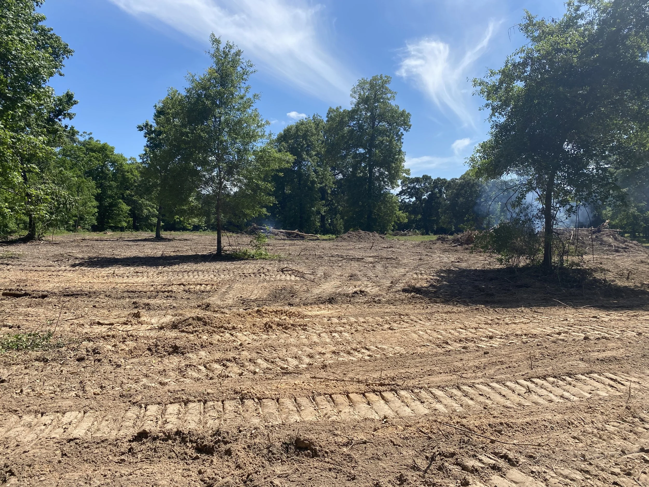 A cleared area of land with tire tracks in the dirt, surrounded by green trees under a blue sky with some clouds.