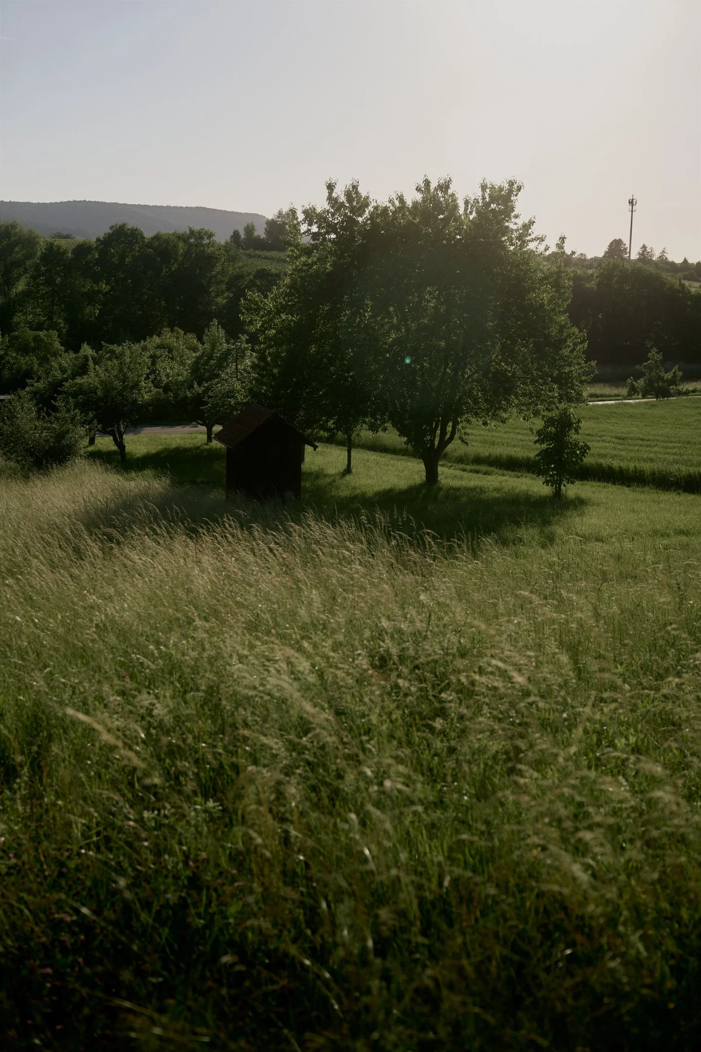 weingut-knauss-hochzeit_stuttgart-hochzeits-fotograf_017.jpg