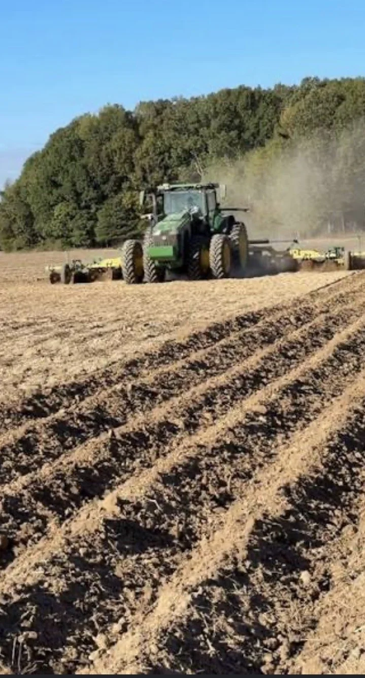 A green tractor working in a large field, preparing the soil for planting with a yellow implement attached behind it. The field has furrows, and there are trees and a clear blue sky in the background.