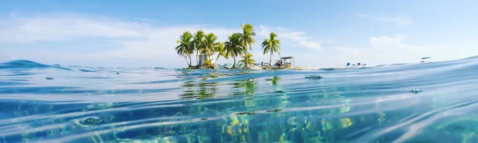 Overwater view of a tropical island with palm trees, a hut, and a dock, seen from the ocean surface on a sunny day.