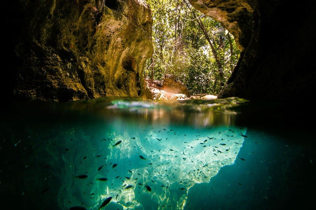 A underwater view of a river or cave with clear blue water, small fish swimming, rocky walls, and lush greenery above the water surface.