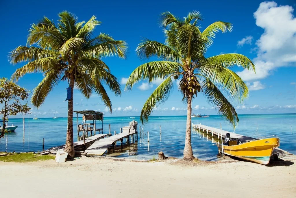 Two palm trees on a beach with a wooden dock leading into clear blue water and a yellow boat tied to the dock, under a bright blue sky with some clouds.