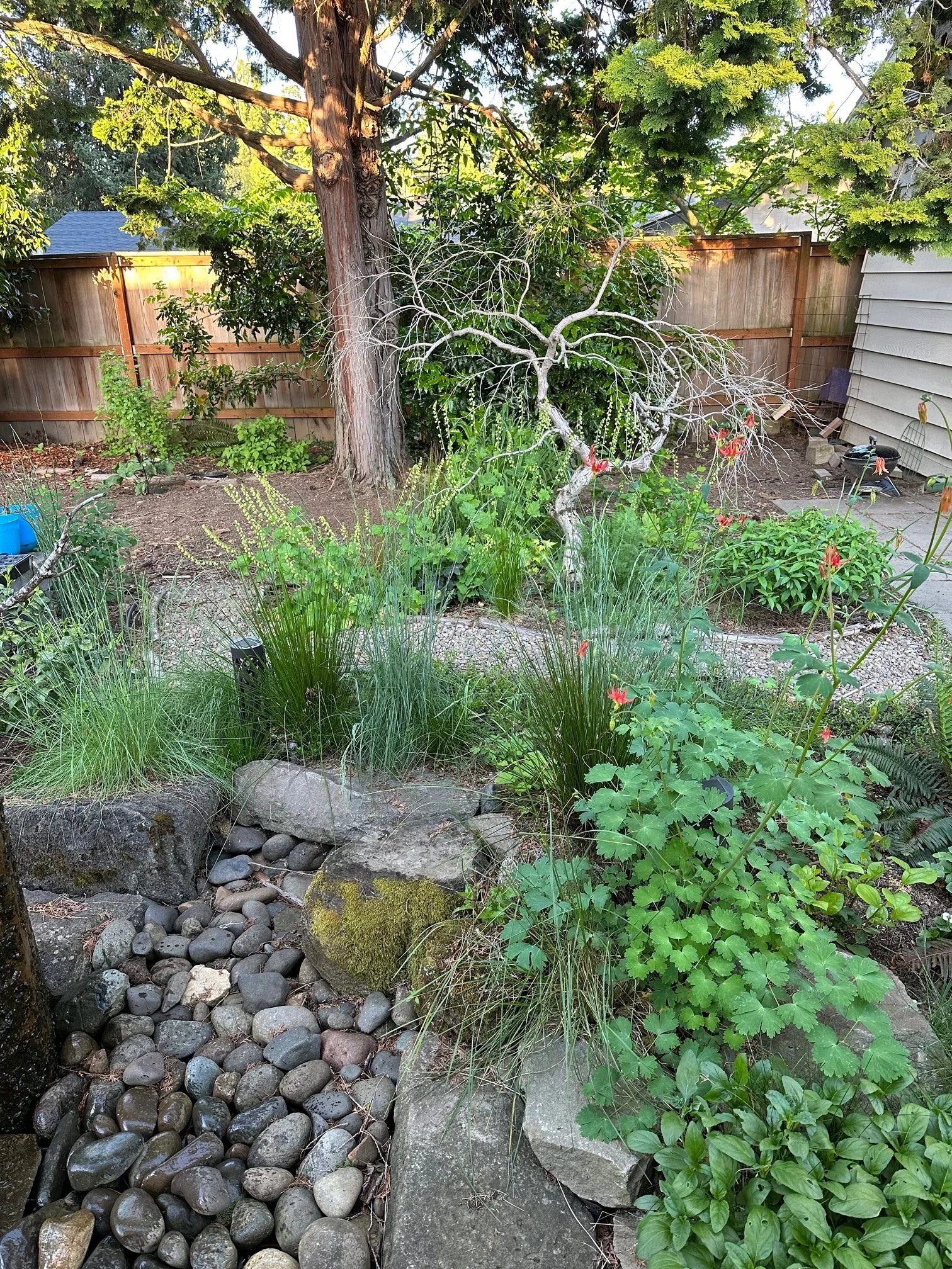 Photo and installation by Brenden and Jessica