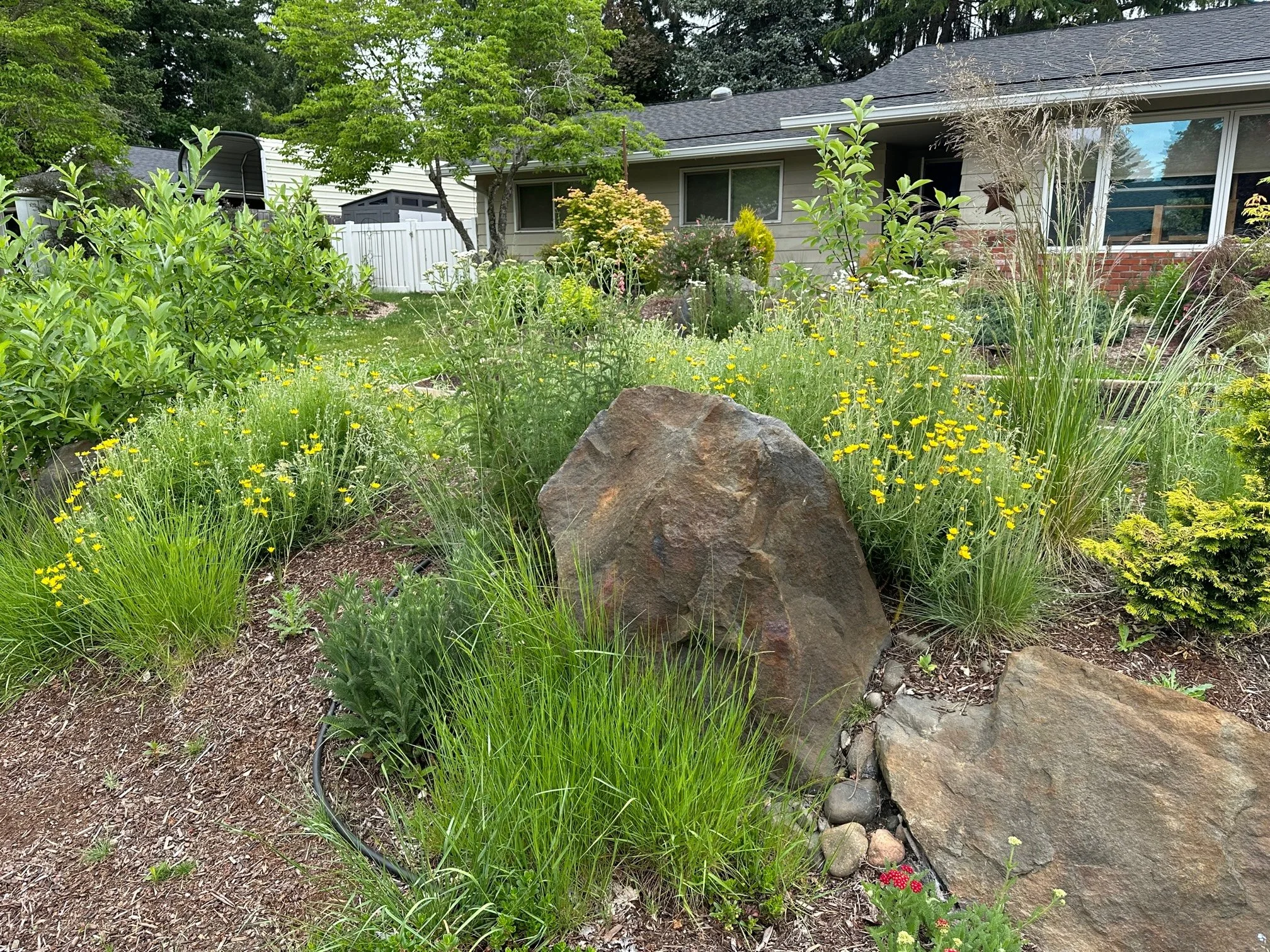 Photo and installation by Brenden and Jessica