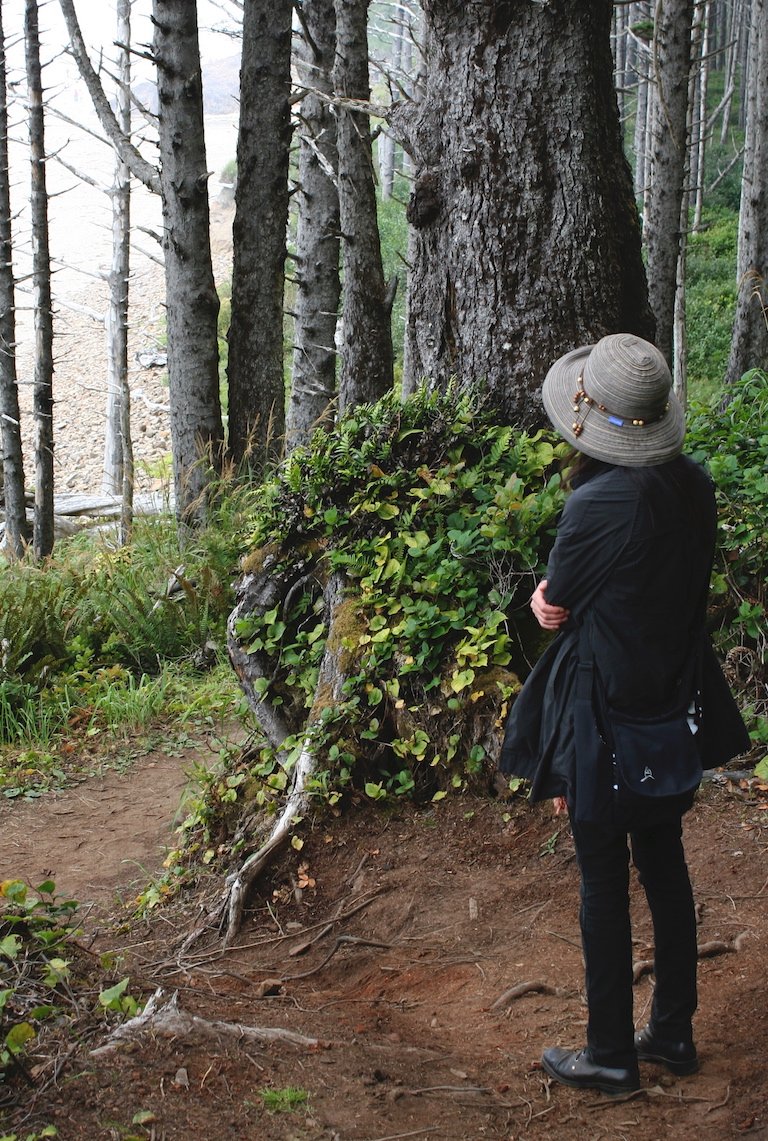 A person wearing a large sunhat, black jacket, and black pants standing on a dirt trail in a forest with tall trees, observing a large tree root covered with green foliage.