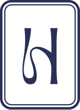 Mirrored letter 'N' inside a black rectangular border