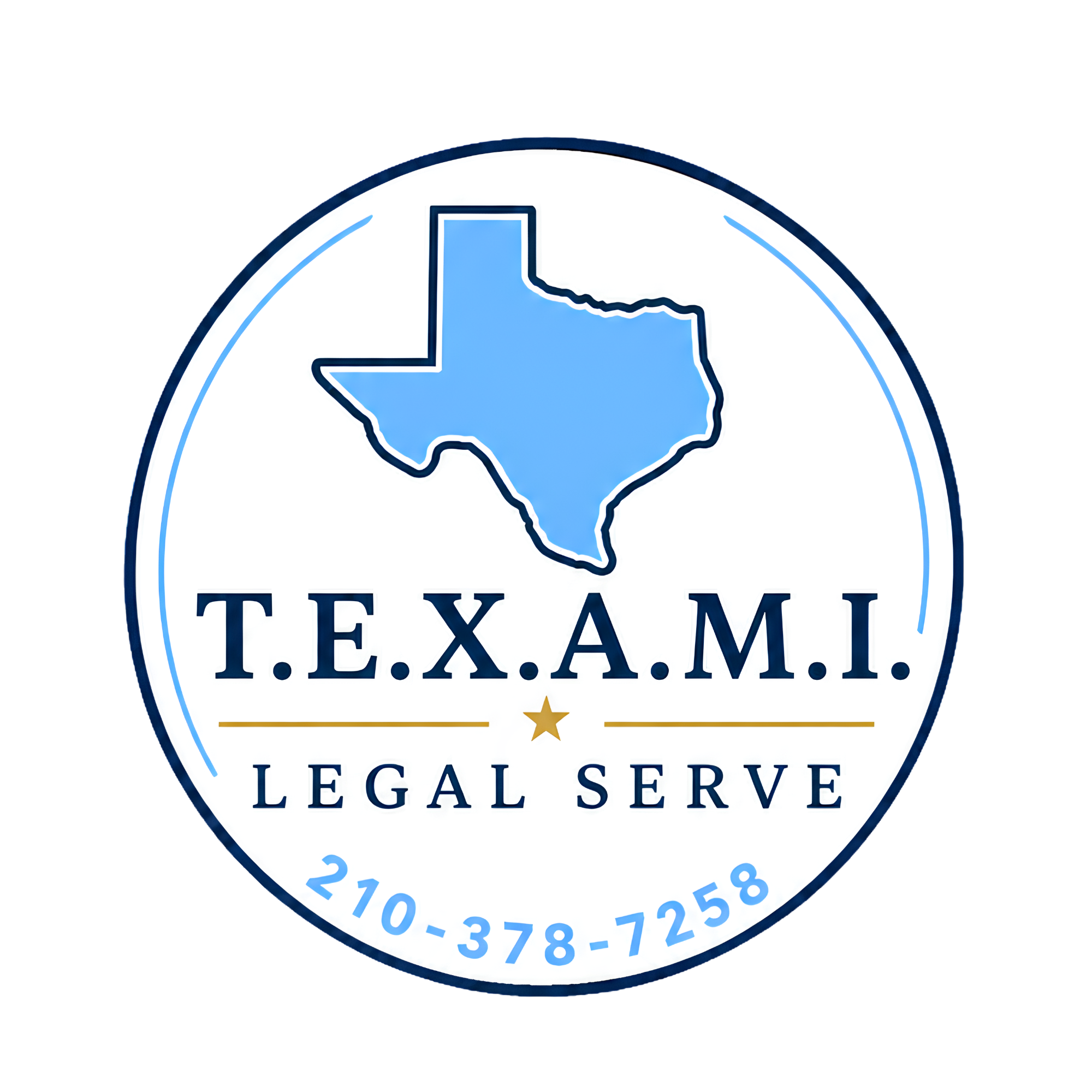 Close-up of a circular logo with a blue outline, featuring the shape of Texas and the word 'TEXAMI' in blue uppercase letters, along with a gold star and contact information below.