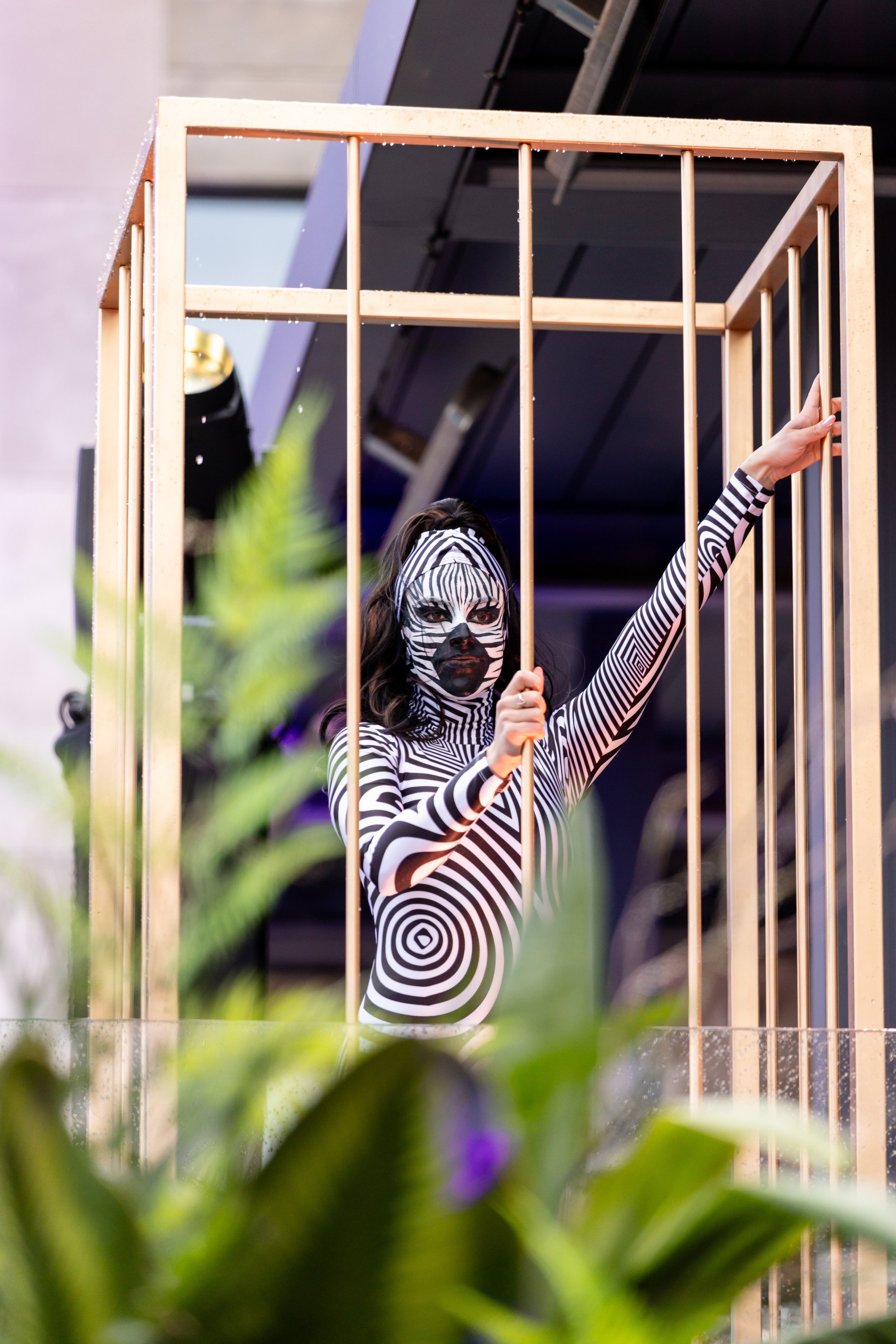 Person with face paint resembling a zebra, wearing a black and white striped outfit, raising their hand through the bars of a wooden cage.