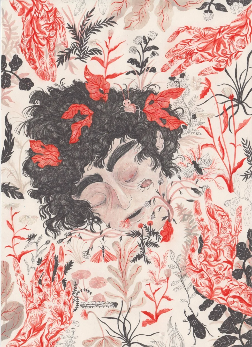 Orpheus