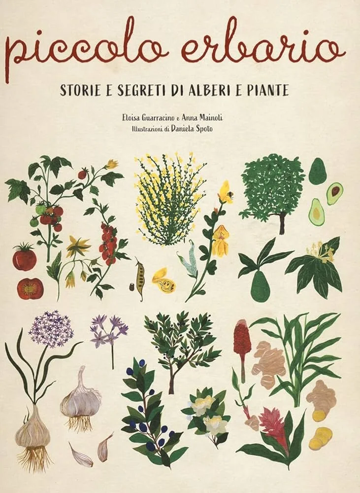 PICCOLO ERBARIO - STORIE E SEGRETI DI ALBERI E PIANTE - 24OreCultura