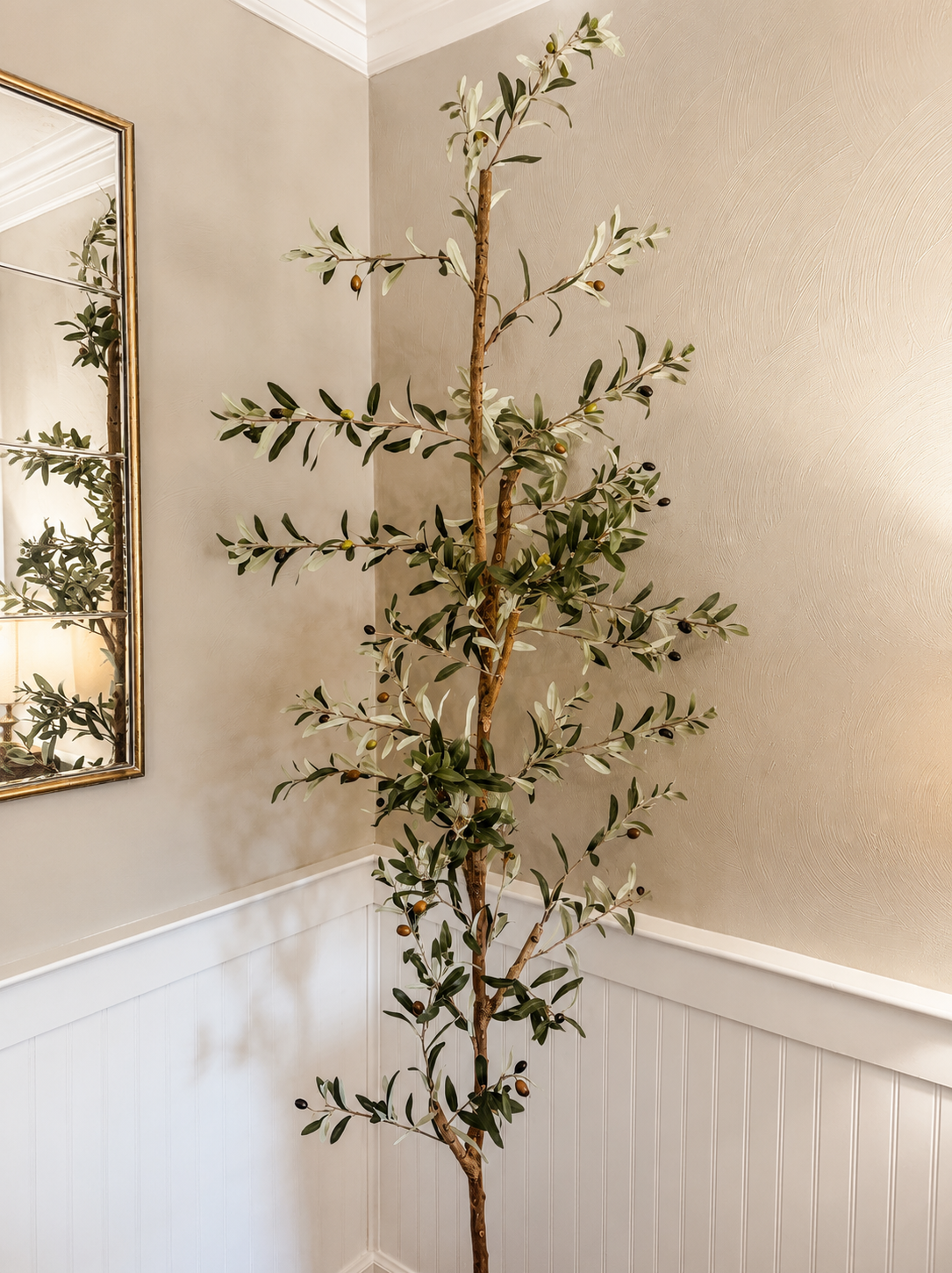 Olive Tree.png