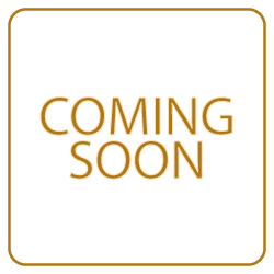 A black background with a thin gold border and gold text that says 'COMING SOON'