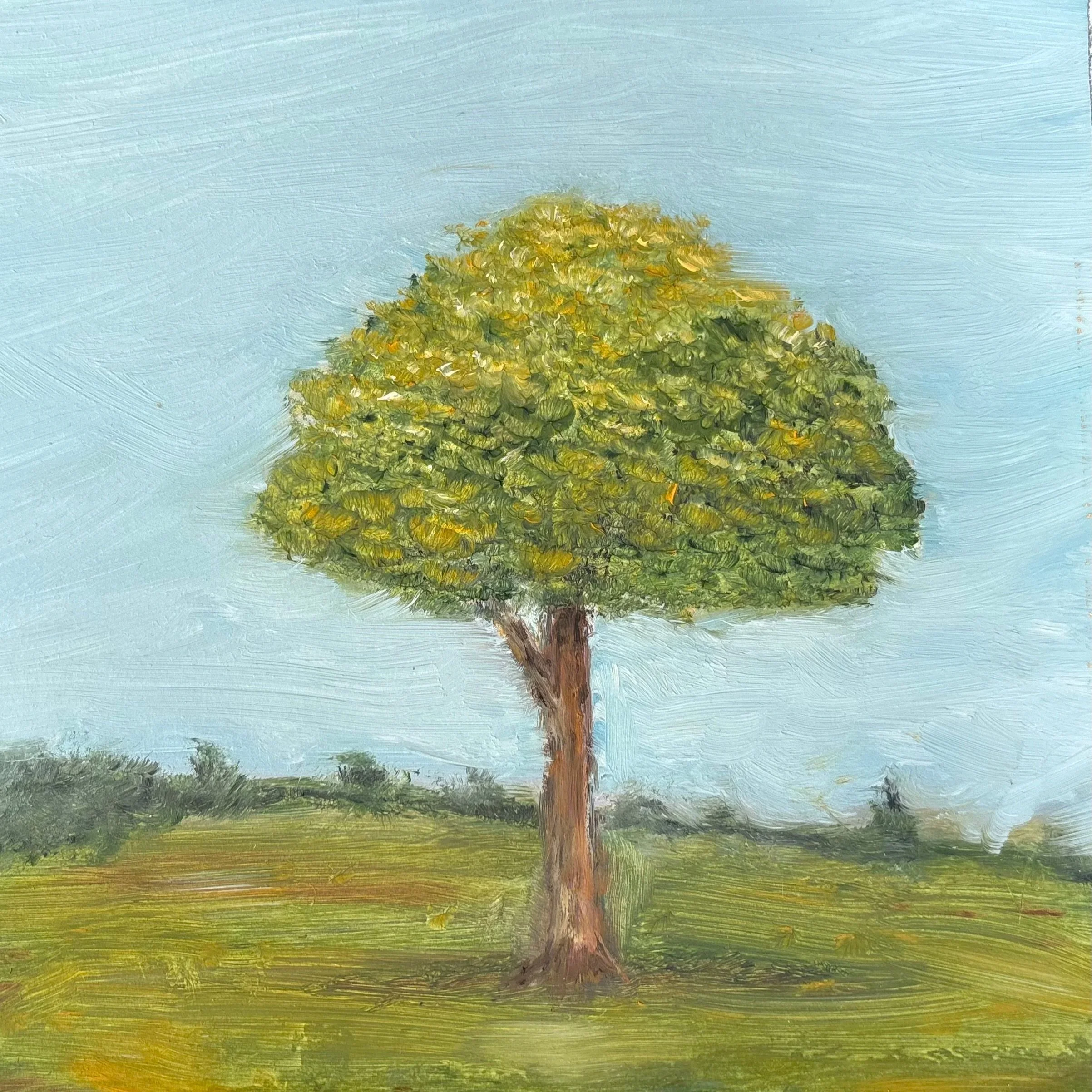 tree+8x8.jpg