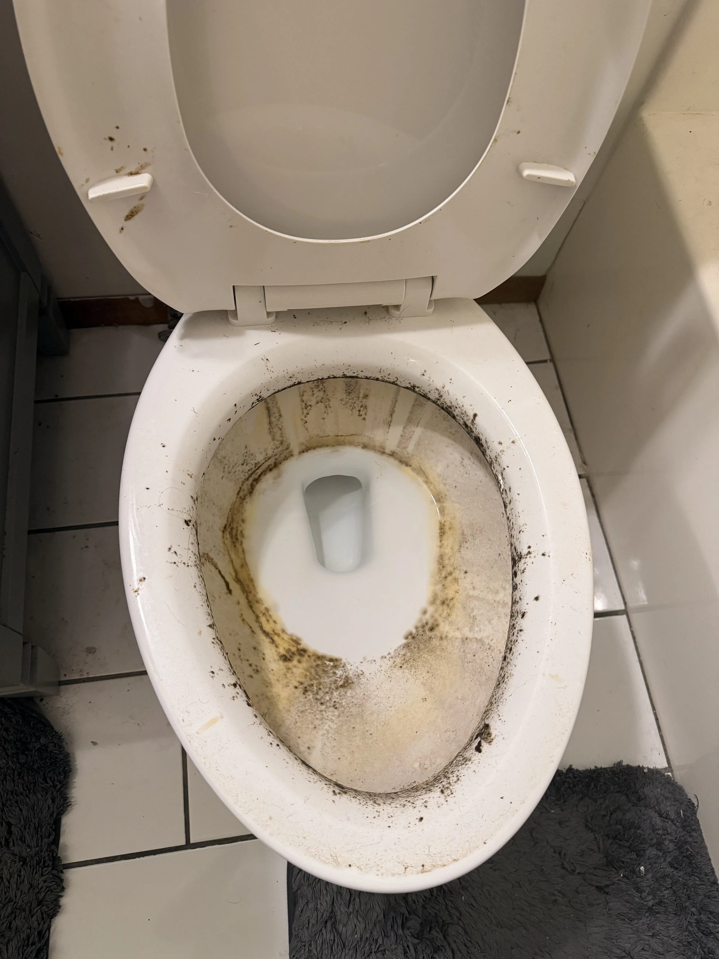 Dirty and stained toilet bowl and seat with brown and black grime around the rim and inner edges.