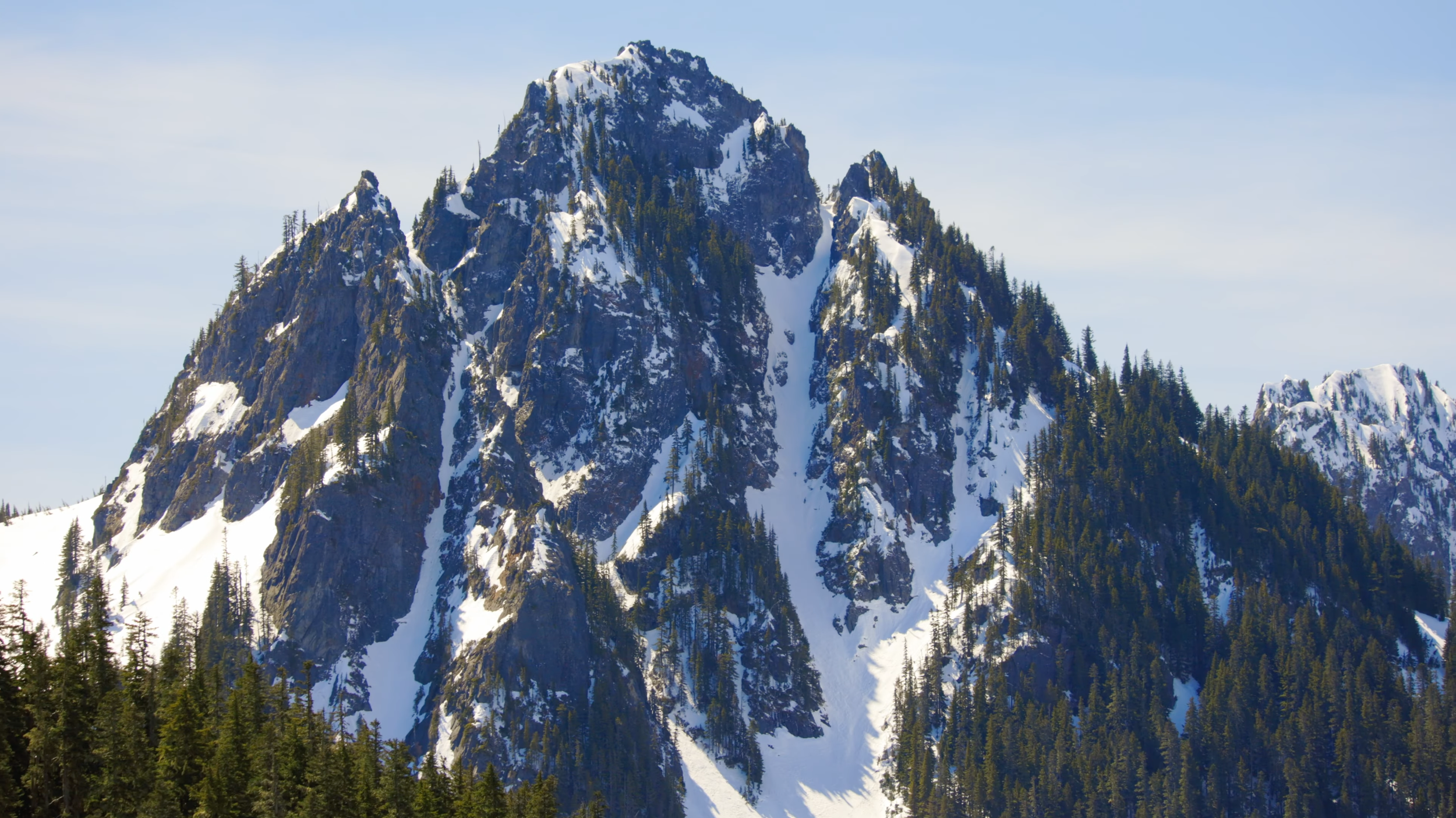 Snow-capped mountain with evergreen trees on the slopes under a clear sky. A peak featuring the Zipper and Fly Couloir in Mt. Rainier National Park