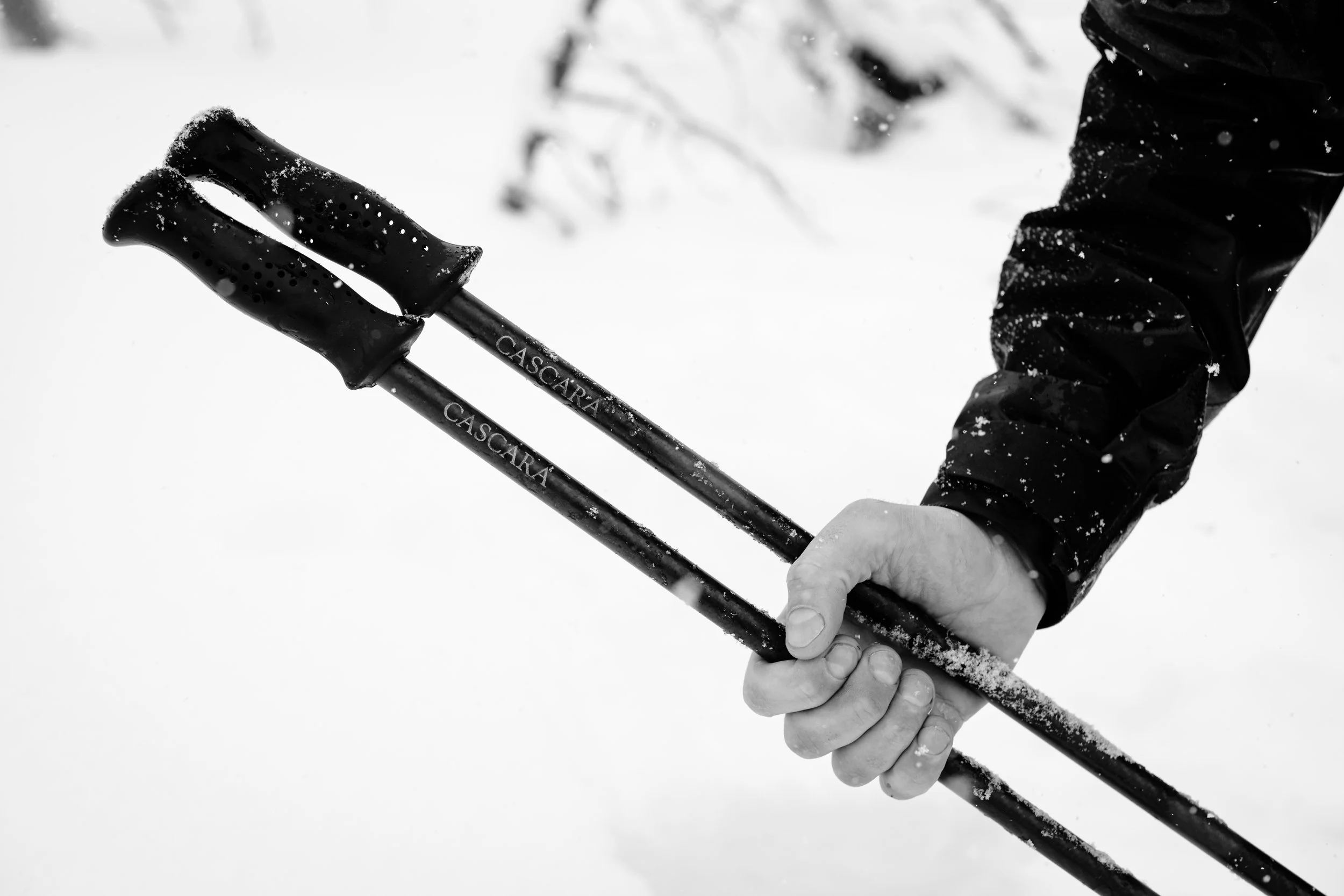 Close-up of a person's hand gripping a pair of black ski poles with the brand name 'CASCARA' visible, against a snowy background, with snow dusting the poles and hand.