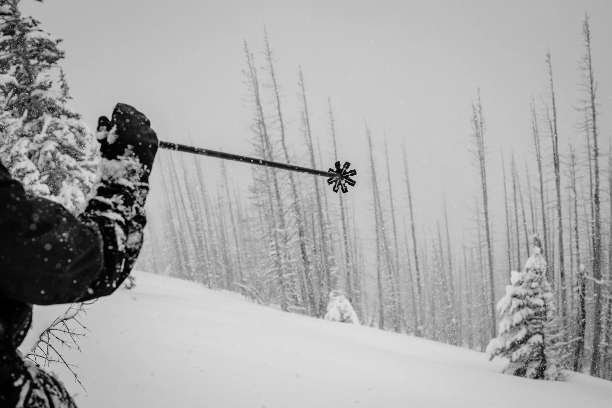 Person in winter clothing shoveling snow in a snowy forested area with leafless trees and snow-covered ground during a snowstorm.