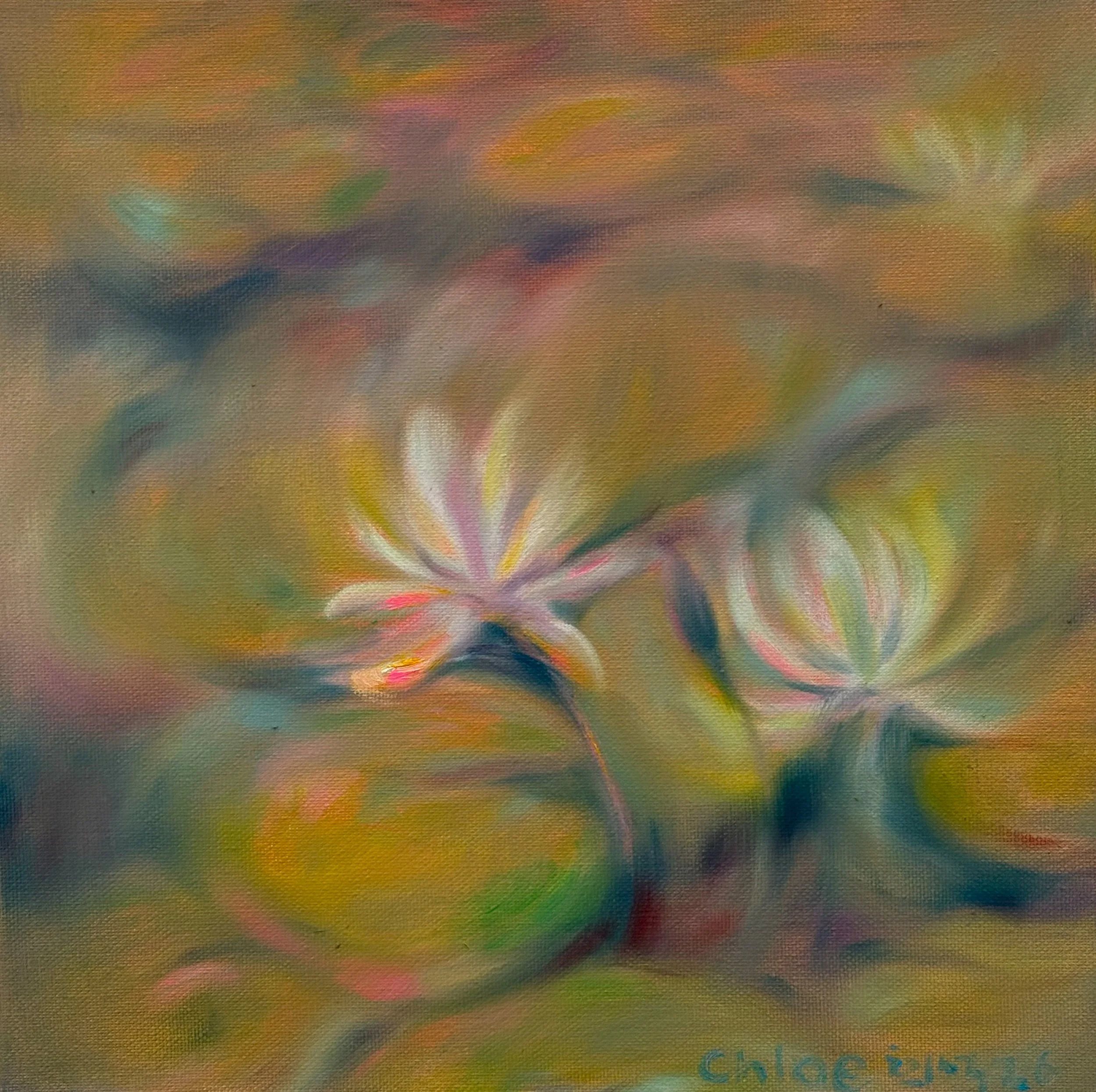Light on the Pond