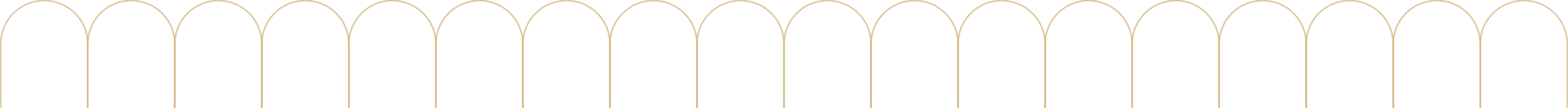 Close-up of the top part of a black fence with gold decorative arches.