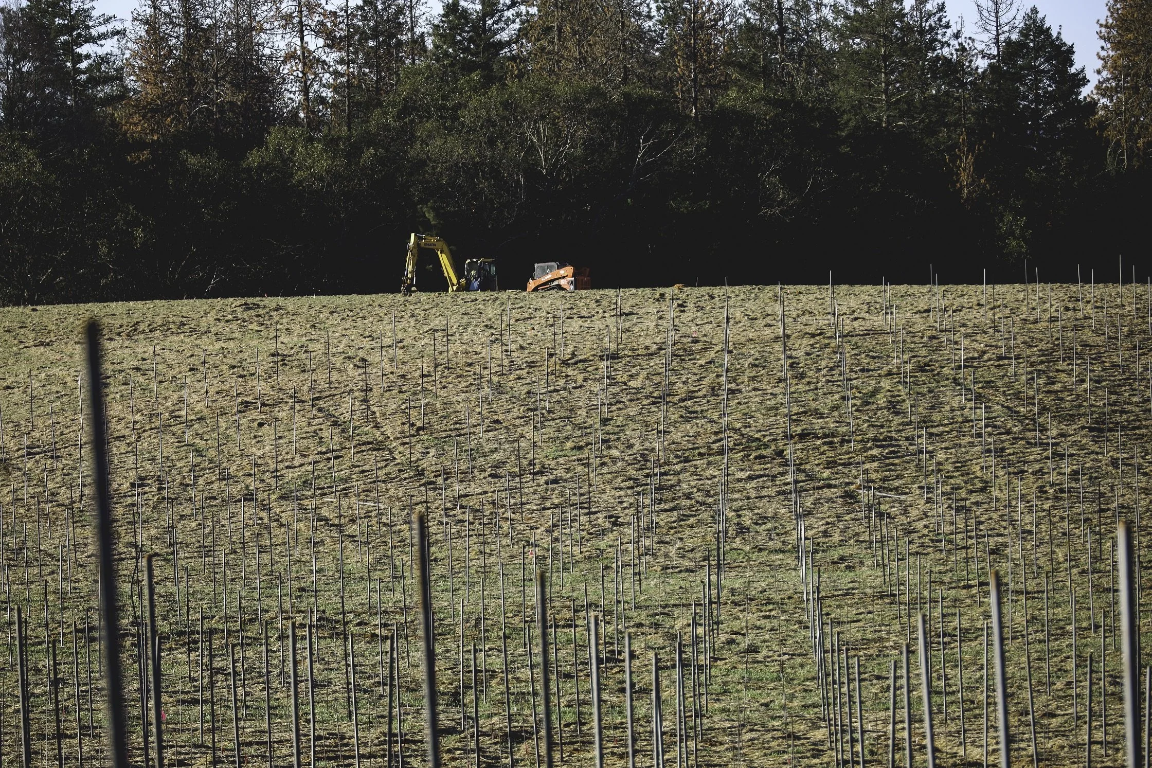 Construction site with two small excavators on a grassy field, with a background of trees and a clear sky.