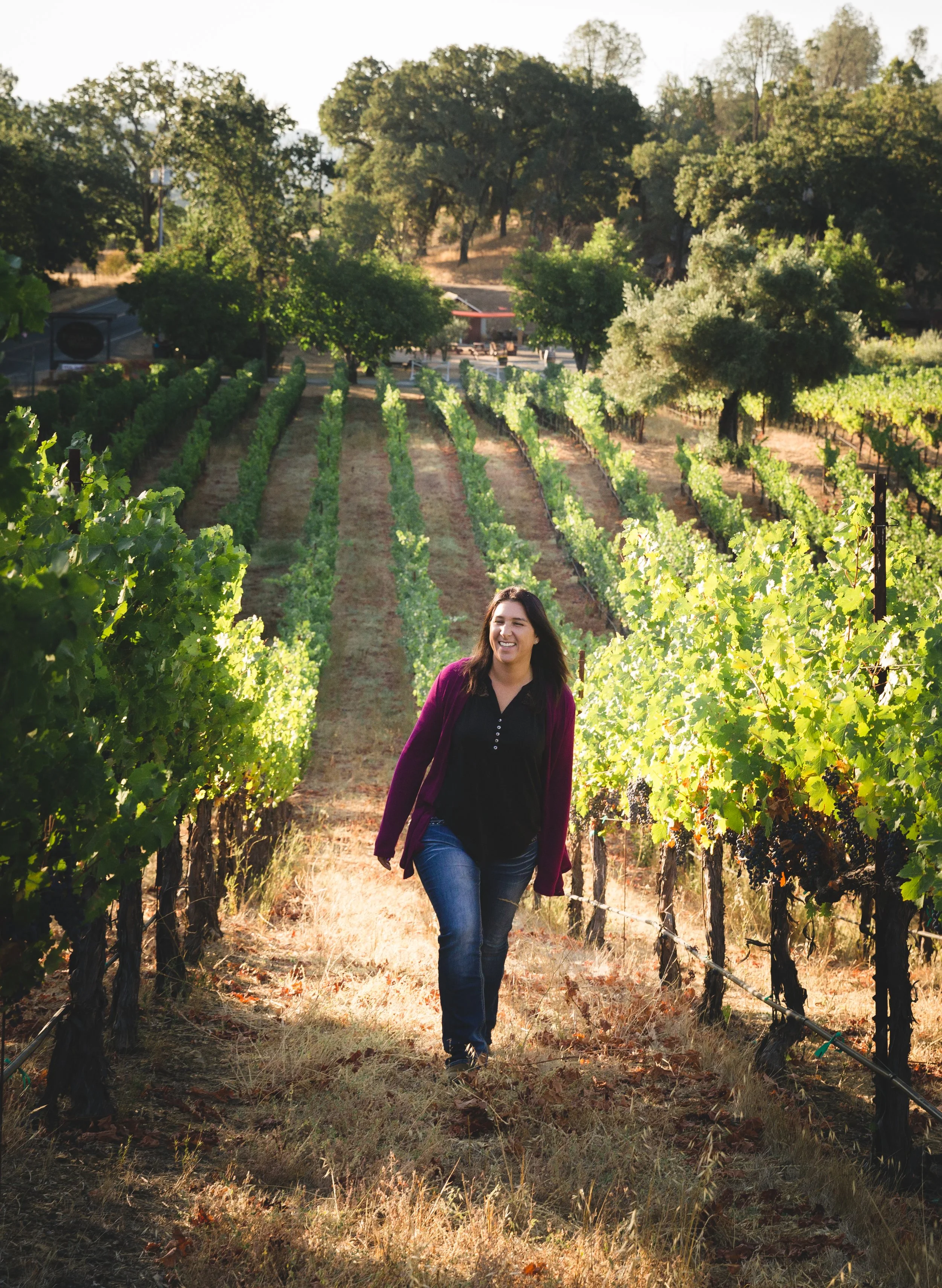A woman walking through a vineyard with rows of green grapevines, trees in the background, and sunlight illuminating the scene.
