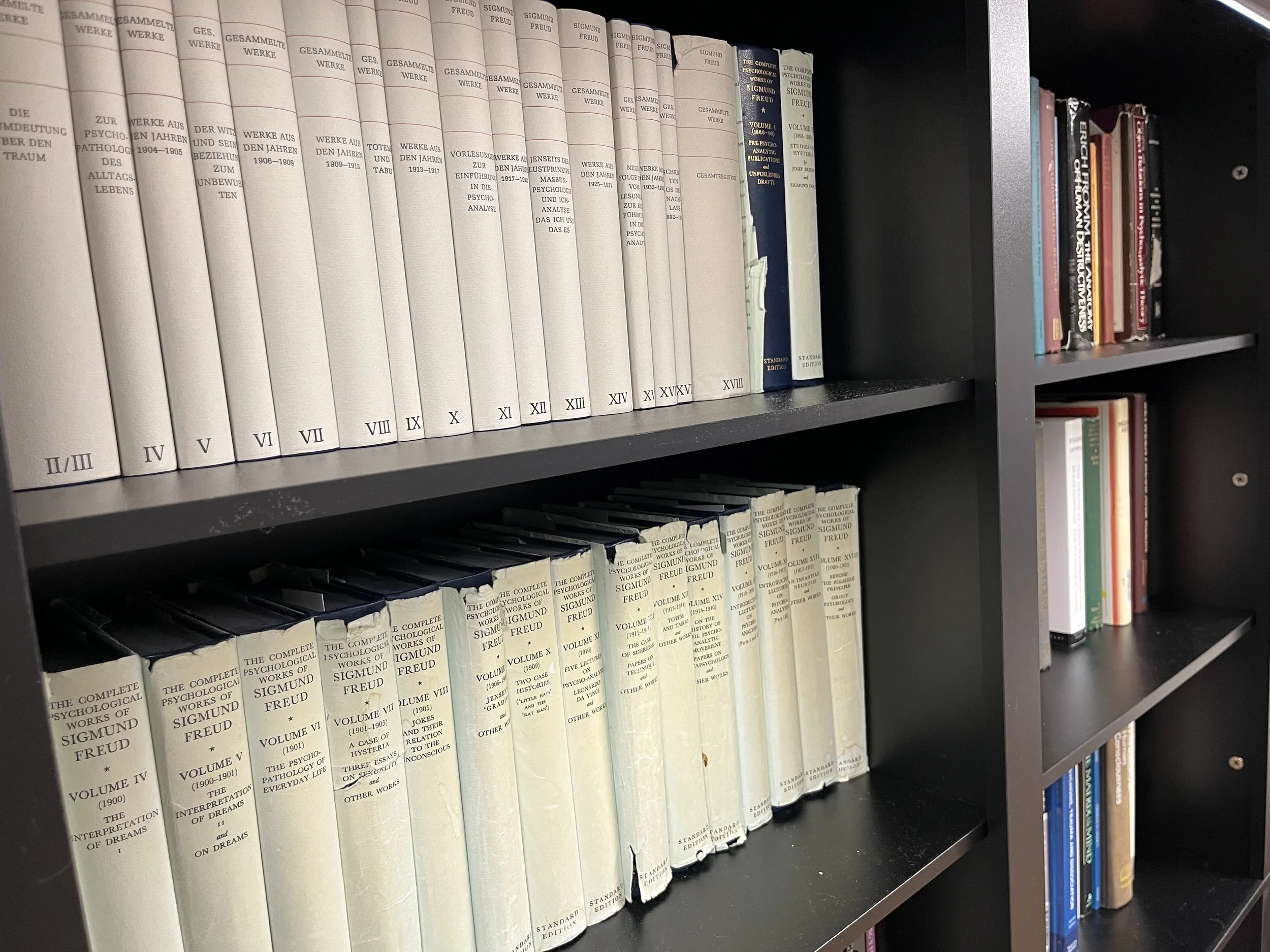 A bookshelf filled with volumes of Sigmund Freud's works, with titles in German and English, arranged in chronological order on black shelves.