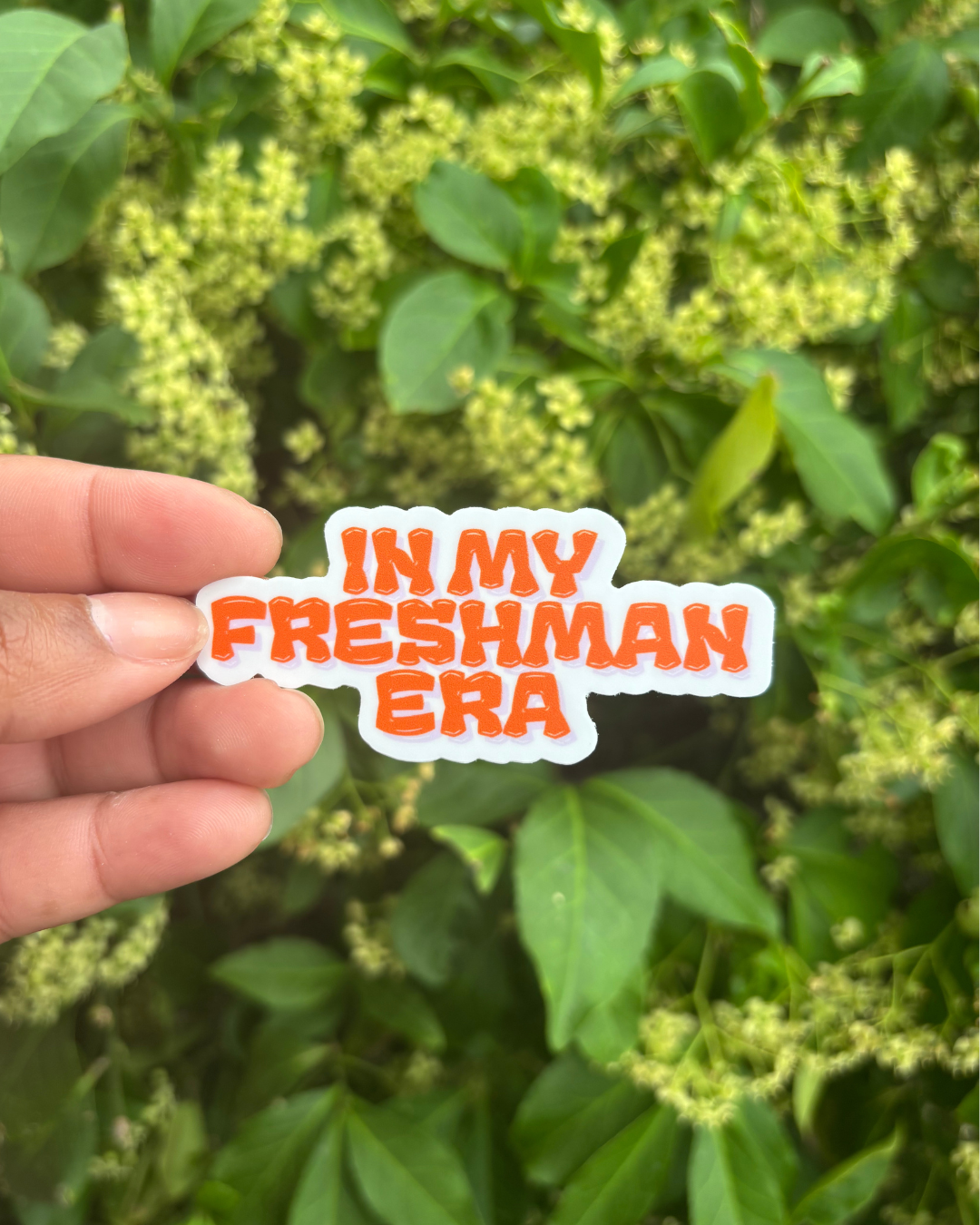 In My Freshman Era Outside.png