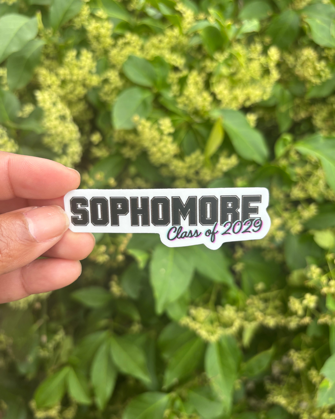 Sophomore C:O 2029 Outside.png