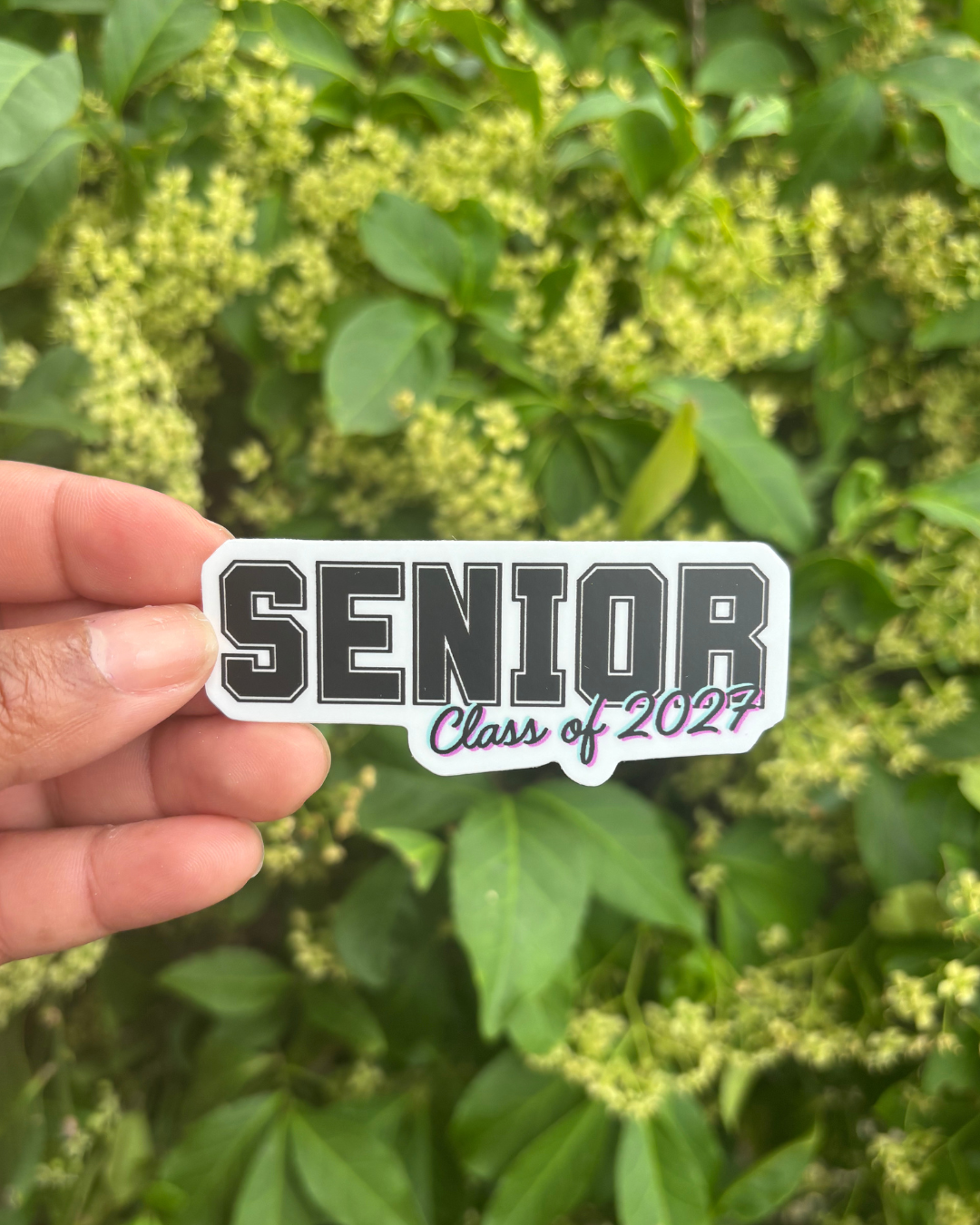 Senior C:O 2027.png