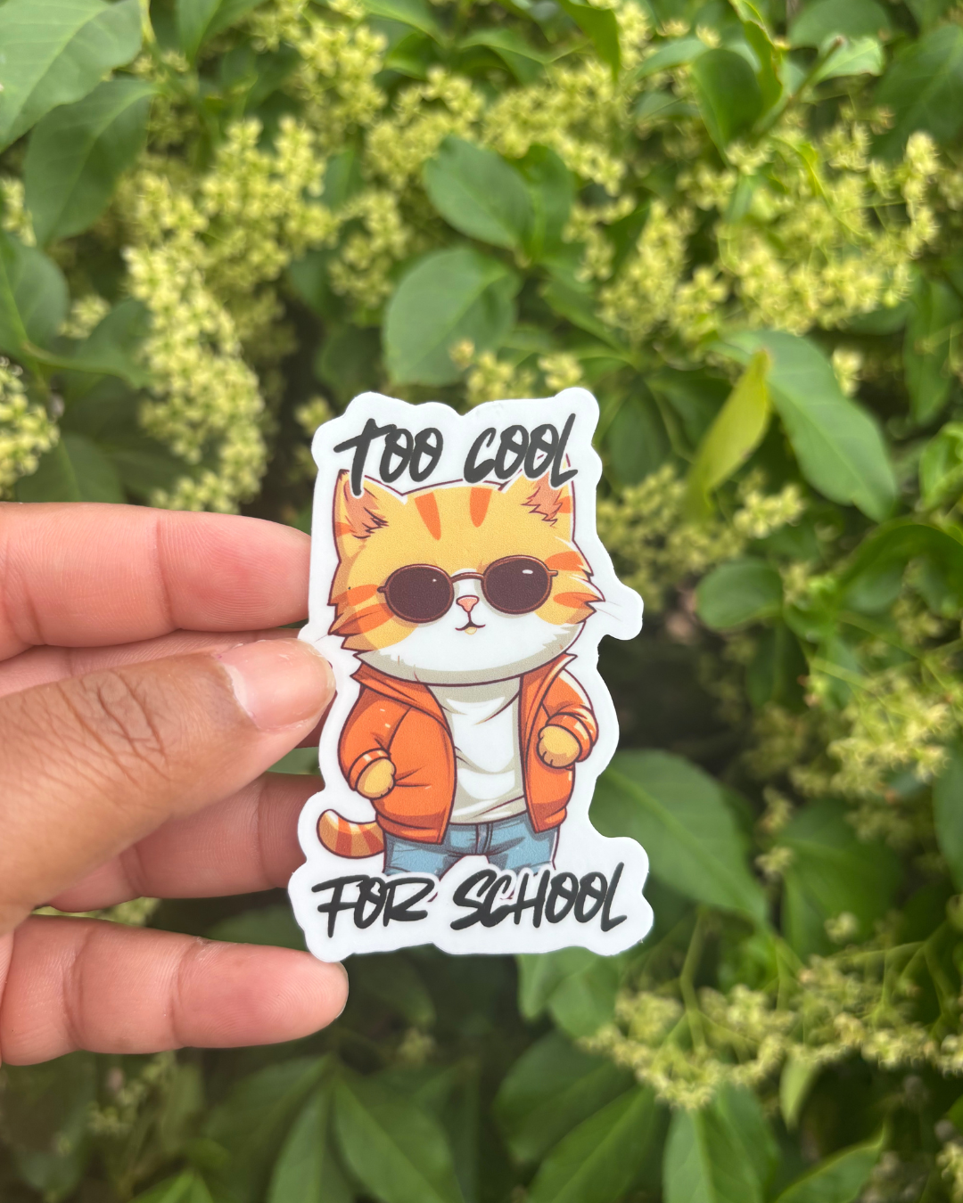 Too Cool for School Outside.png