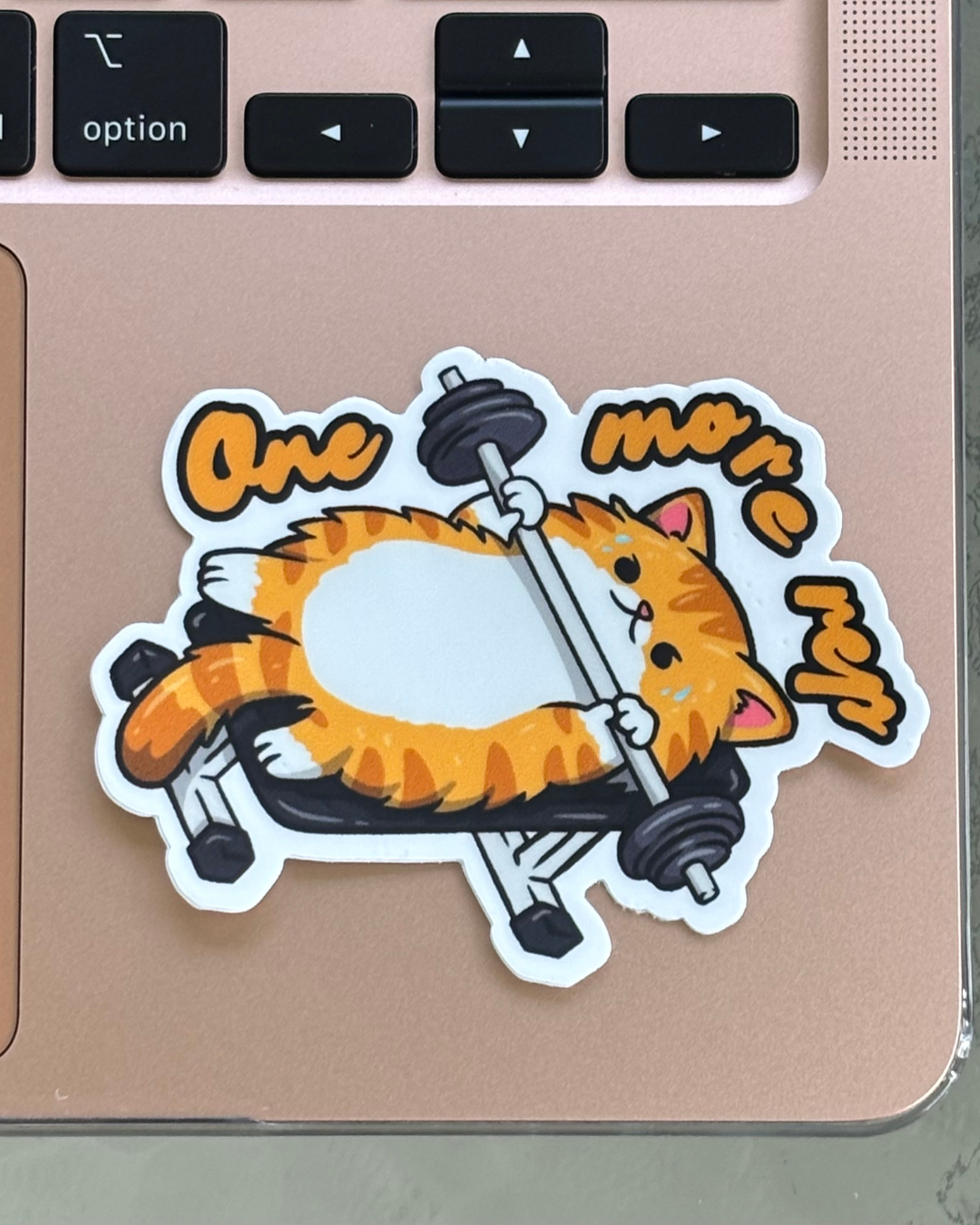 One More Rep Computer.png