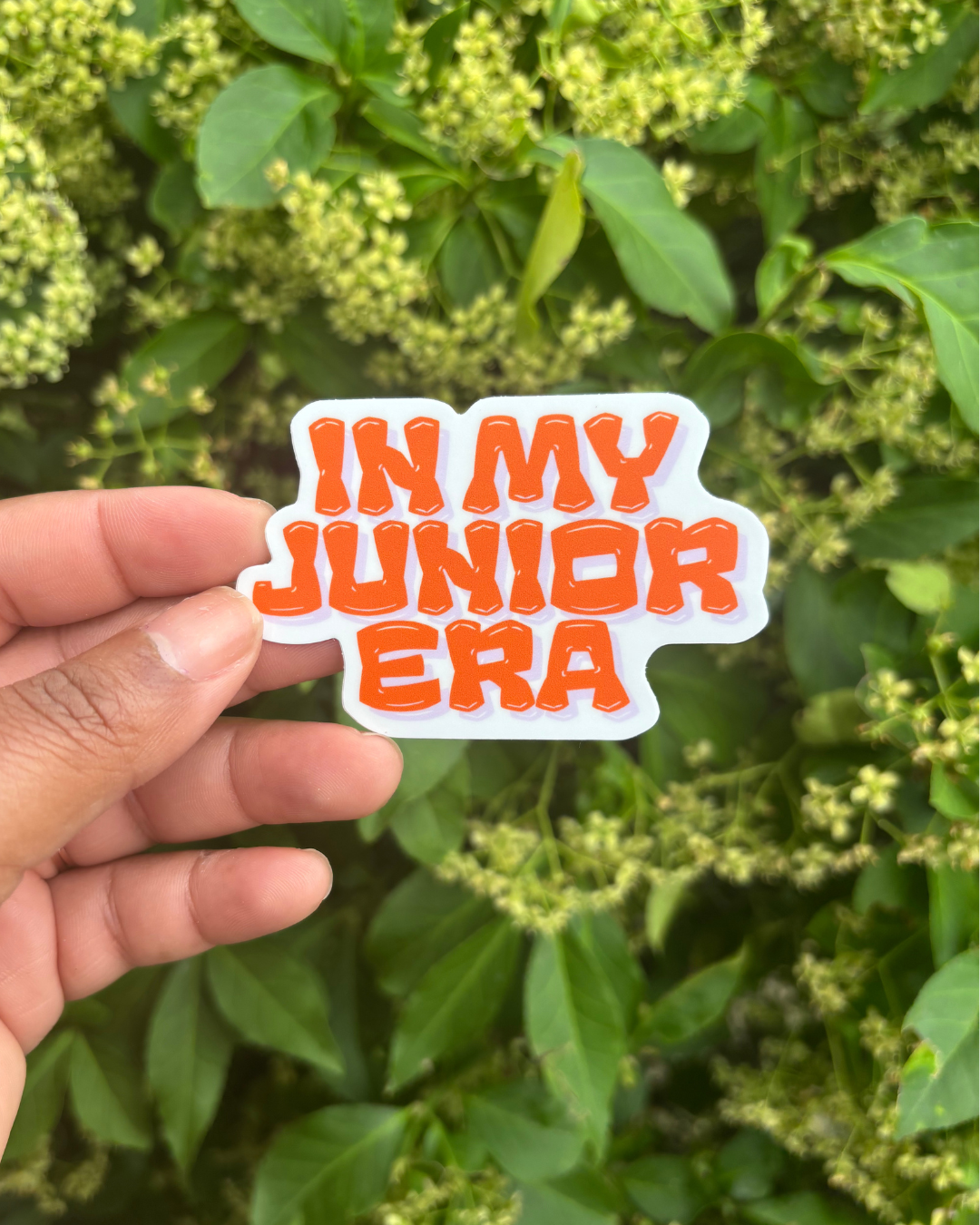 In My Junior Era Outside.png