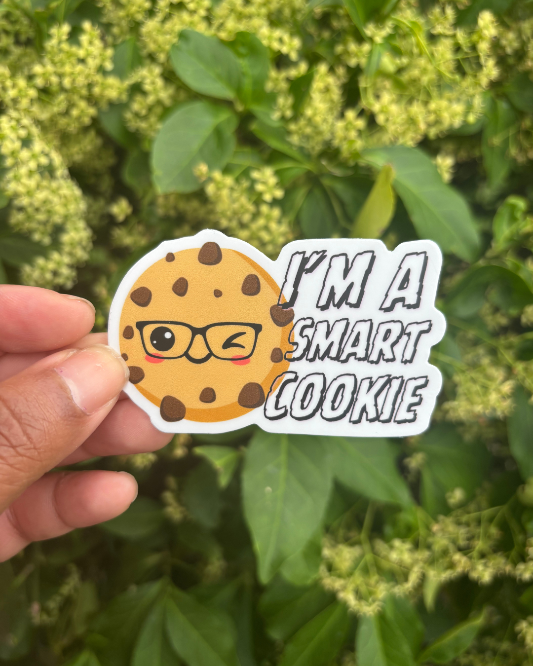 Im a Smart Cookie Outside.png