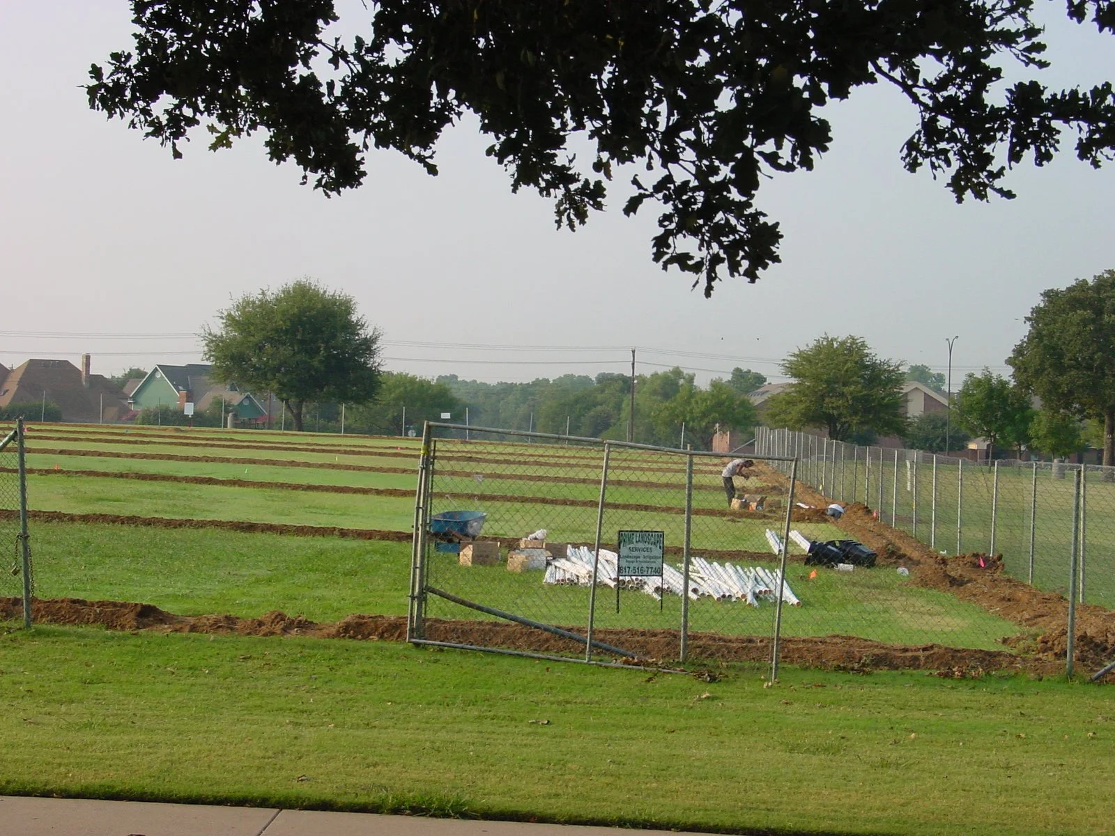 DSC1400035.JPG