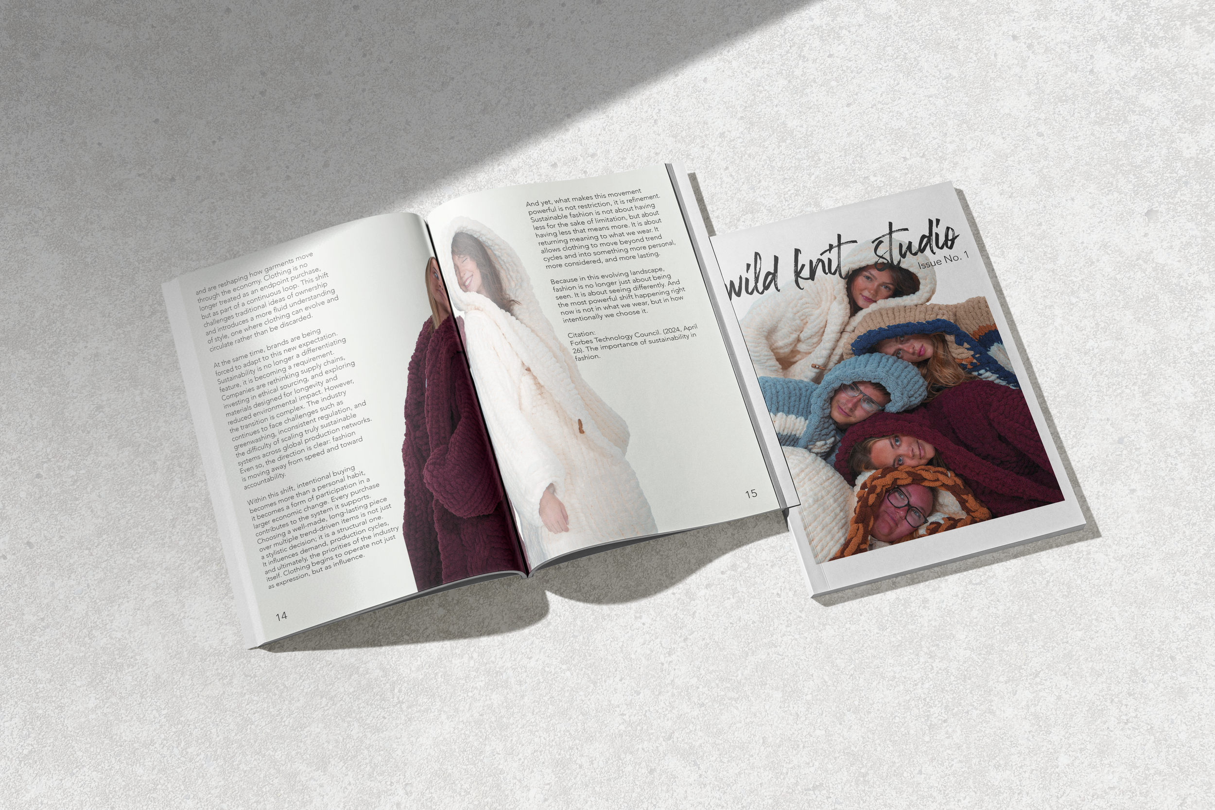 wildknitstudiomagazinemockup.png
