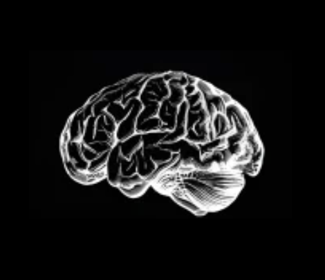 Black and white illustration of a human brain against a black background.