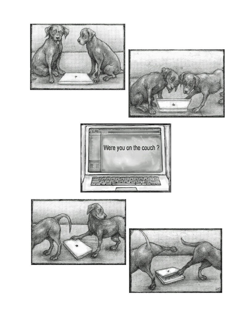 Illustration of two dogs near a laptop, with one dog on the couch and the other reaching for the laptop. The laptop screen displays the question 'Were you on the couch?'.