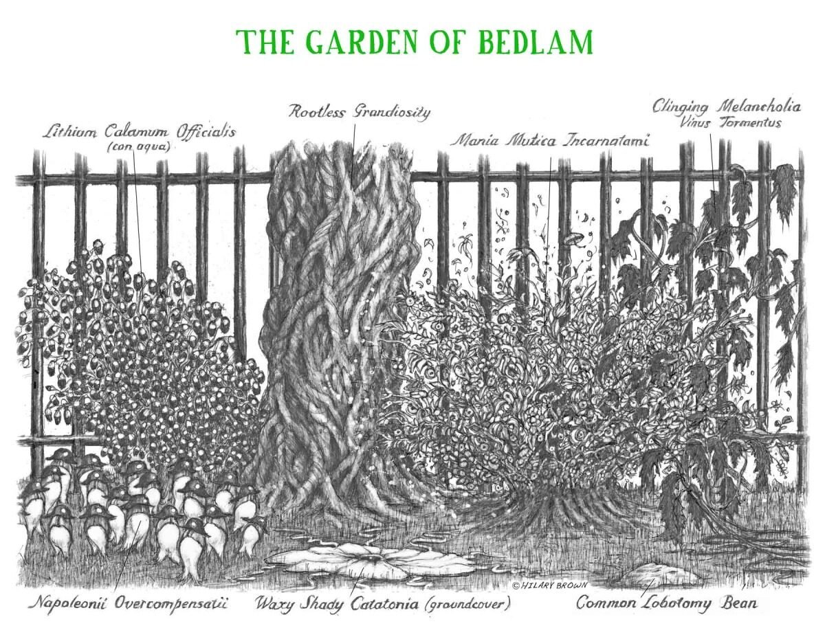 Illustration of a garden called "The Garden of Bedlam" featuring various plants with scientific names and a wooden fence in the background.