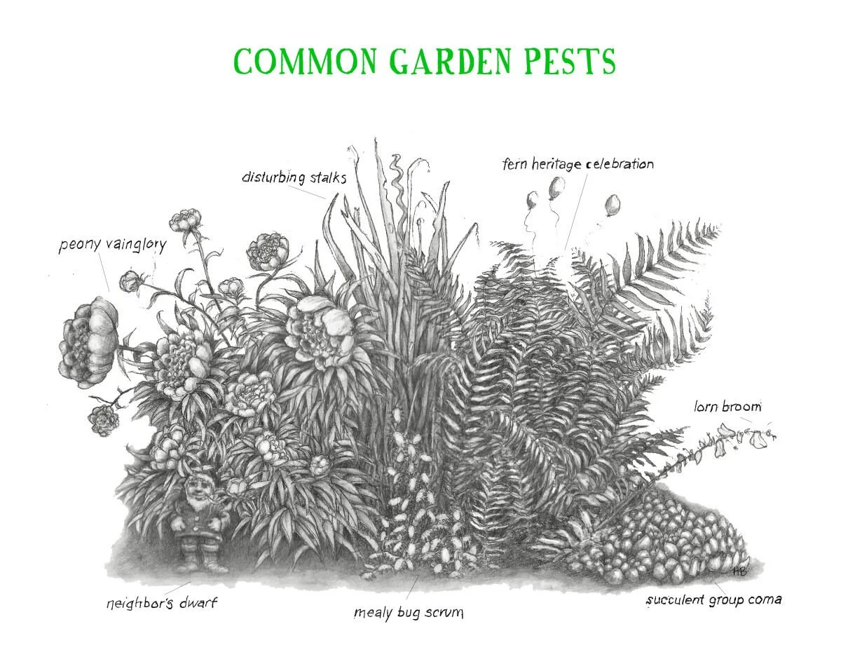 A black and white drawing of common garden pests labeled as 'COMMON GARDEN PESTS,' including peony vain Glory, disturbing stalks, neighbor's dwarf, mealy bug scrum, fern heritage celebration, lorn broom, and succulent group coma.